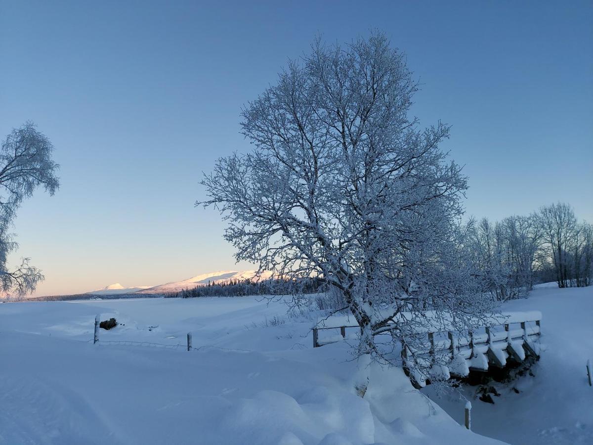 Villmarksgard Tommerstue Hattfjelldal Extérieur photo